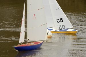 DSC04162 © Peter Taylor 2012