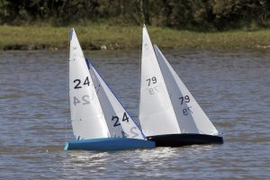DSC04279 © Peter Taylor 2012