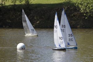 DSC04342 © Peter Taylor 2012