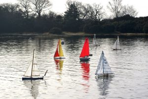 DSC04379-©-Peter-Taylor-200