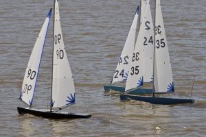 DSC04382 © Peter Taylor 2012