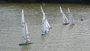 DSC07132 © Peter Taylor 2008
