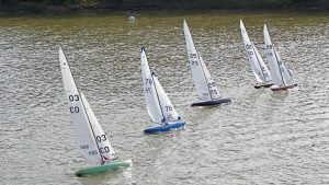 DSC07133 © Peter Taylor 2008