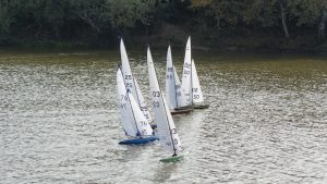 DSC07136 © Peter Taylor 2008
