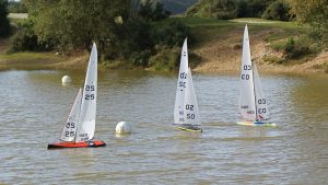 DSC07152 © Peter Taylor 2008