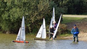 DSC07175 © Peter Taylor 2008