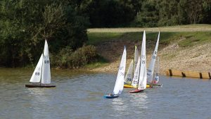 DSC07183 © Peter Taylor 2008