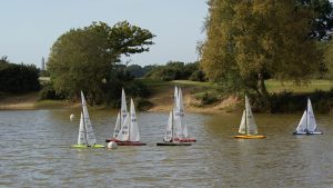 DSC07189 © Peter Taylor 2008