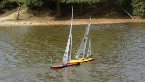 DSC07198 © Peter Taylor 2008