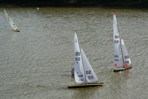 DSC07219 © Peter Taylor 2008