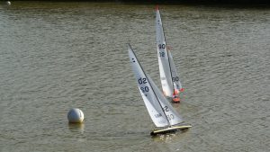 DSC07220 © Peter Taylor 2008