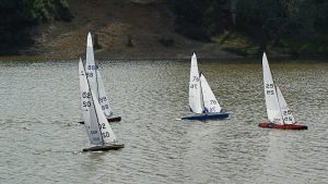 DSC07237 © Peter Taylor 2008