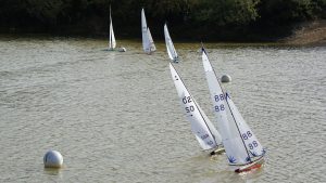 DSC07241 © Peter Taylor 2008
