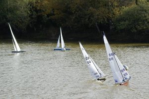 DSC07242 © Peter Taylor 2008