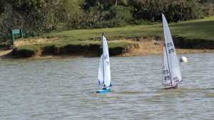 DSC07243 © Peter Taylor 2008