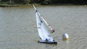 DSC07258 © Peter Taylor 2008