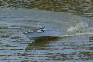 DSC09495 © Peter Taylor 2009