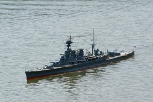 DSC09514 © Peter Taylor 2009