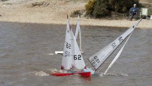 DSC09914 © Peter Taylor 2012