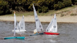 DSC09916 © Peter Taylor 2012