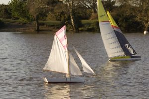 DSC02189 © Peter Taylor 2020
