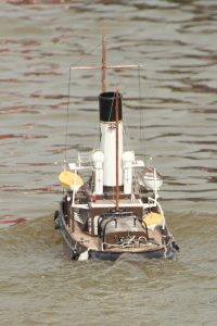 DSC08957 © Peter Taylor 2017