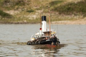 DSC08967 © Peter Taylor 2017
