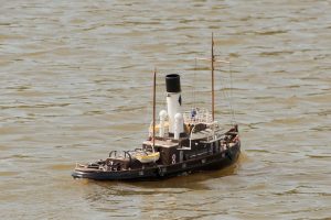 DSC08979 © Peter Taylor 2017