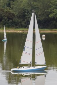 DSC01736 © Peter Taylor 2019