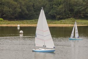 DSC01742 © Peter Taylor 2019