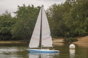 DSC01743 © Peter Taylor 2019