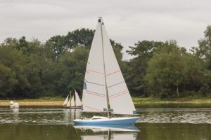 DSC01747 © Peter Taylor 2019