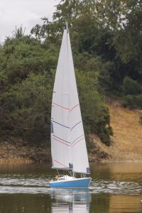 DSC01753 © Peter Taylor 2019