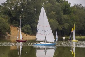 DSC01756 © Peter Taylor 2019