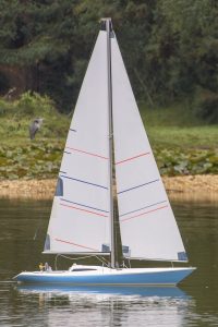 DSC01766 © Peter Taylor 2019