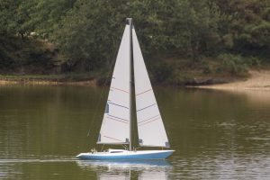 DSC01768 © Peter Taylor 2019