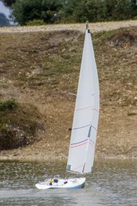 DSC01770 © Peter Taylor 2019
