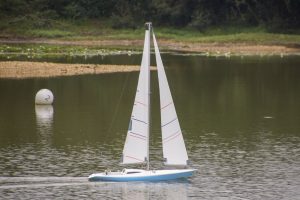 DSC01796 © Peter Taylor 2019
