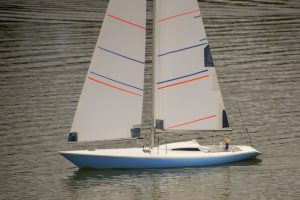 DSC01806 © Peter Taylor 2019