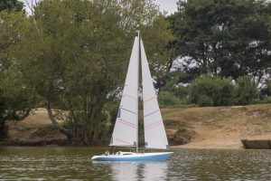 DSC01816 © Peter Taylor 2019
