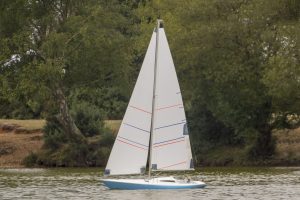 DSC01822 © Peter Taylor 2019