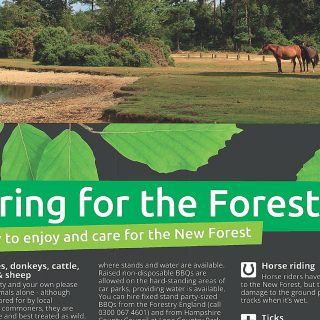 caring for the forest thumb