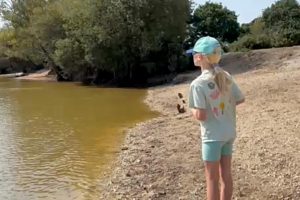 video image