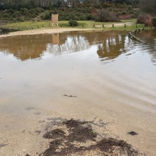 df8ba4c2 55db 4803 89e9 17f4ea245bdf